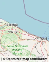 Maniscalchi,76123Barletta-Andria-Trani