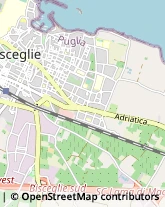 Via Mauro Giuliani, 47,76011Bisceglie