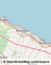 Associazioni e Federazioni Sportive,76125Barletta-Andria-Trani