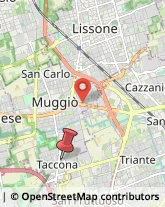 Via Papa Pio XII, 5,20835Muggiò