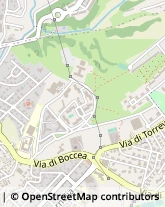 Via di Torrevecchia, 1219,00168Roma