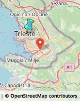 Elettricisti,34129Trieste