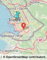 Elettricisti,34129Trieste