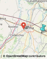 Agenzie di Animazione e Spettacolo,42049Reggio nell'Emilia