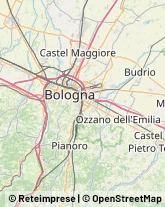 Lavanderie Industriali e Noleggio Biancheria,40064Bologna