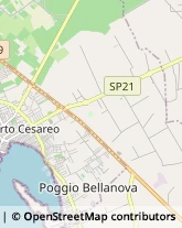 Aziende Agricole,73048Lecce