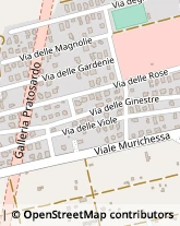 Via delle Gardenie, 42,08100Nuoro