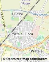 Assicurazioni,56123Pisa