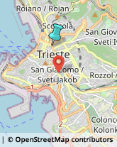 Assicurazioni,34133Trieste