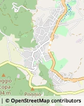 Viale Guido Baccelli, 26,53042Chianciano Terme