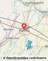 Pollame, Conigli e Selvaggina - Dettaglio,43022Parma