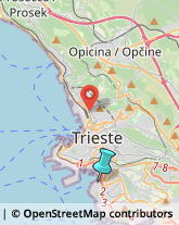 Elettricisti,34145Trieste