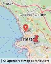 Via delle Settefontane, 69,34139Trieste