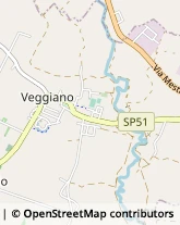 Via Pedagni, 13/D,35030Veggiano