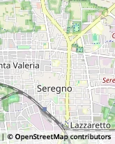 Palestre e Centri Fitness,20831Monza e Brianza