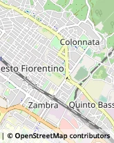 Trasporto Pubblico,50019Firenze