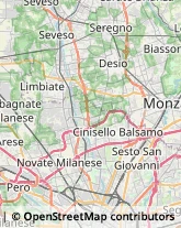 Riproduzione Disegni - Servizio,20832Monza e Brianza