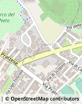 Viale Giuseppe Di Vittorio, 35,50019Sesto Fiorentino