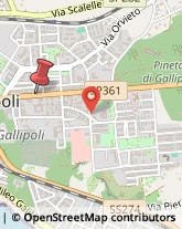 Corso Italia, 31,73014Gallipoli