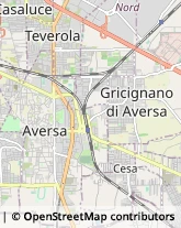 Via Guglielmo Sanfelice, 8,81031Aversa