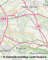 Via Spinetoli, 35,00132Roma