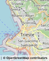 Importatori ed Esportatori,34138Trieste