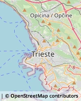 Agenzie di Animazione e Spettacolo,34144Trieste