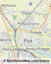 Via Santa Bibbiana, 1,56127Pisa