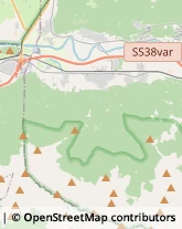 Autotrasporti,23014Sondrio