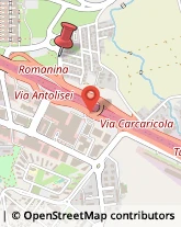 Via Angelo Motta, 8,00133Roma