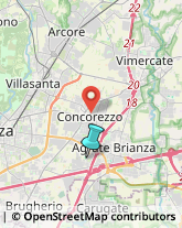 Avvocati,20864Monza e Brianza