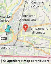 Avvocati,55100Lucca