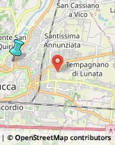 Avvocati,55100Lucca