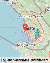 Trasporti Eccezionali,34147Trieste