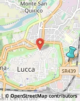 Parrucchieri,55100Lucca