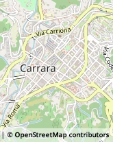 Articoli da Regalo - Dettaglio,54033Massa-Carrara