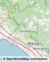 Articoli da Regalo - Dettaglio,54033Massa-Carrara