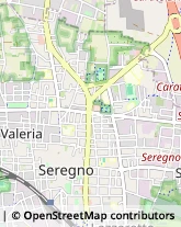 Palestre e Centri Fitness,20831Monza e Brianza