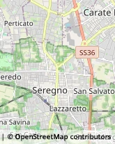 Palestre e Centri Fitness,20831Monza e Brianza