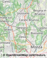 Osteopatia,20811Monza e Brianza