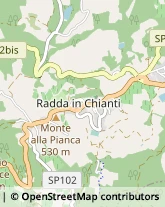 Via Roma, 16,53017Radda in Chianti