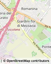 Via Gasperina, 57,00118Roma