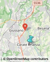 Gioiellerie e Oreficerie - Dettaglio,20841Monza e Brianza