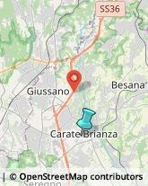 Gioiellerie e Oreficerie - Dettaglio,20841Monza e Brianza