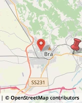 SS231, 22,12042Bra