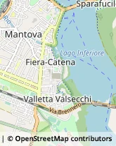 Via Andrea Da Schivenoglia, 2B,46100Mantova