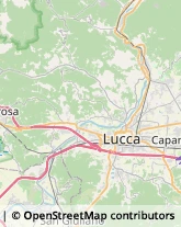 Via Beccheria, 11,55100Lucca