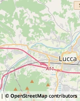 Via delle Tagliate Prima, 231,55100Lucca