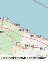 S.P. 238 Km. 11,680, ,70033Corato