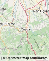 Via Nizza, 153,15011Acqui Terme